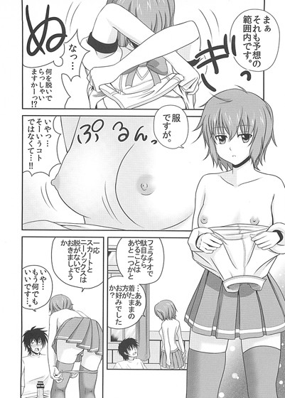 サンプル画像