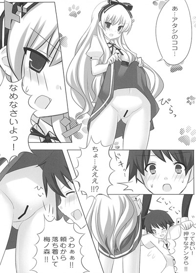 サンプル画像