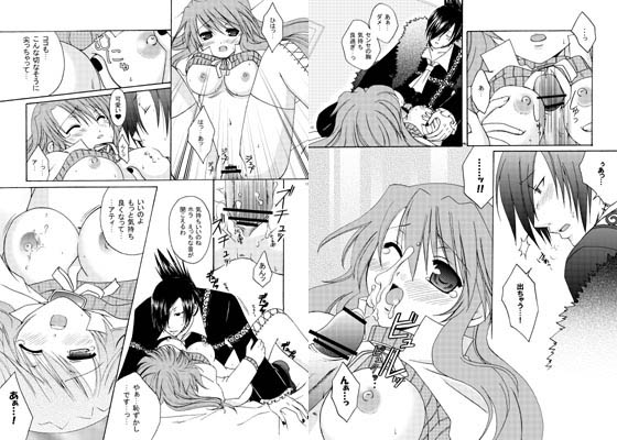 サンプル画像