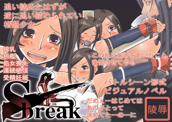 S Break 画像1