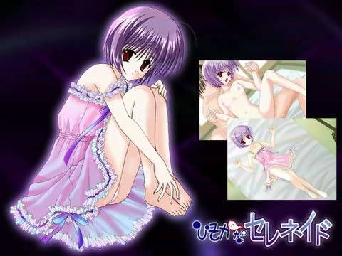 ひそかなセレネイドの表紙