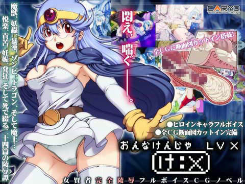 女賢者LV_X