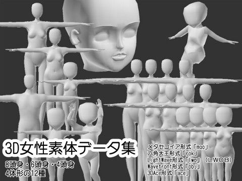 3D女性素体データ集の表紙