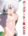 ポーズデーター集 SEX02 〜 いっぱいしよっ 〜