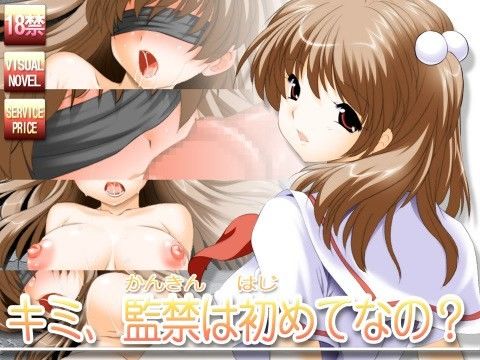 キミ、監禁は初めてなの？ 画像1