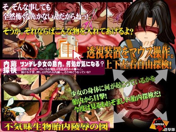膣の中身はなんだろうなゲーム-ツンデレ娘の大事なアソコ- ガメラ第8軍 エロ画像2