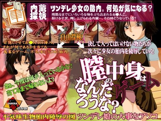 【ガメラ第8軍 同人】膣の中身はなんだろうなゲーム-ツンデレ娘の大事なアソコ-