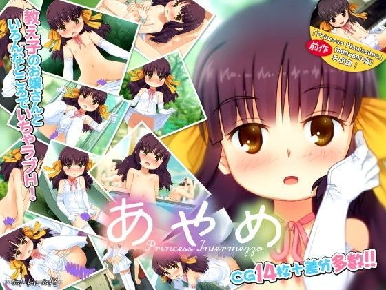 あやめ Princess Intermezzo
