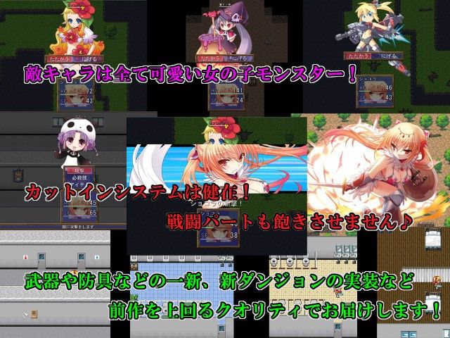 サンプル画像