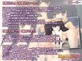 ふたいもデイズ 〜おにいちゃん、ナイショでシよ♪〜