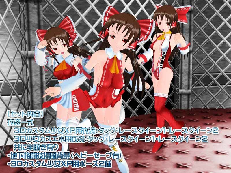 3Dカスタム-Reimu EX 画像1