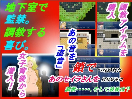 ★調教RPGゲーム『セイラを自宅監禁してやりまくり』(惑星ファ) - FANZA同人