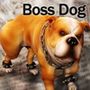 Boss Dog for CL-Dog