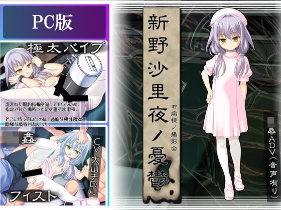 【ぱーせぷとろん 同人】新野沙里夜ノ憂鬱 