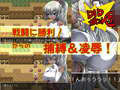 DID RPG SS 〜王国騎士とダンジョンモドキ〜