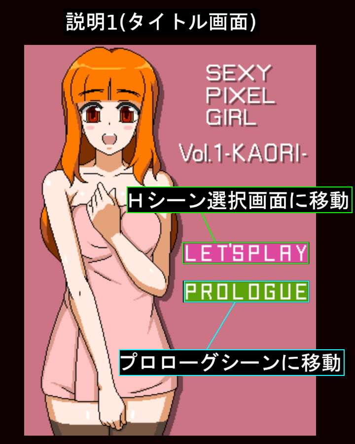 セクシィピクセルガールVol.1-KAORI-4