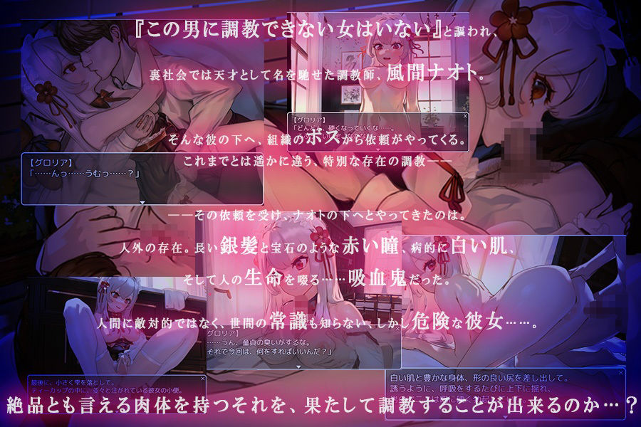 ヴァンパイア調教〜天才調教師は高位生命体ヴァンパイアを性奴●として育て上げることが出来るのか？〜(ぴーちパレット) - FANZA同人