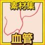血管 画像素材〜商用成人利用OKの著作権フリー