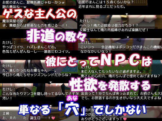 NPC姦〜はじまりの村で犯りたい放題〜 画像3