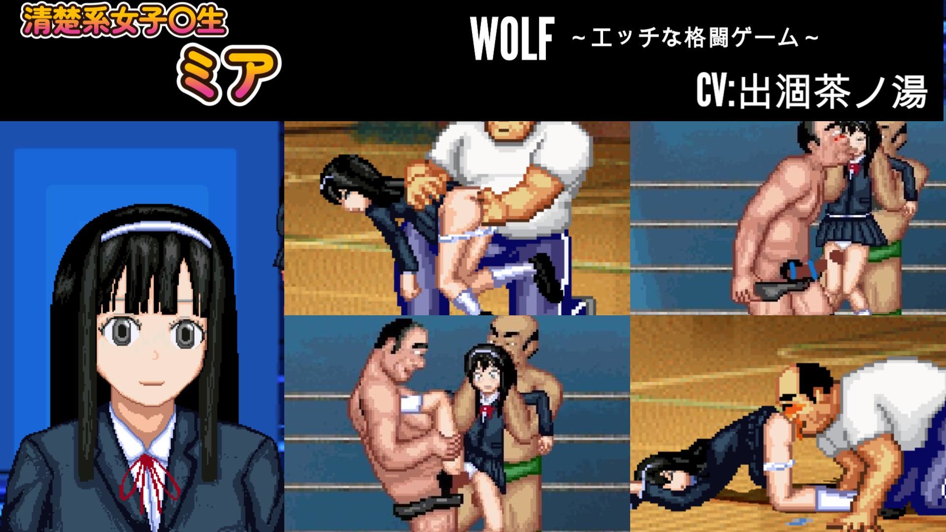 エッチなアップデート型格闘ゲーム〜姉妹編セット(WOLF) - FANZA同人