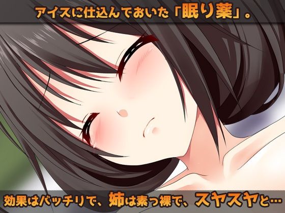 睡眠姦〜お姉ちゃんに「眠り薬」でエッチな事をする弟（ボク）〜オナニー用ミニゲーム 画像1