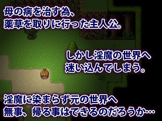 淫魔界に堕ちたボク 画像1