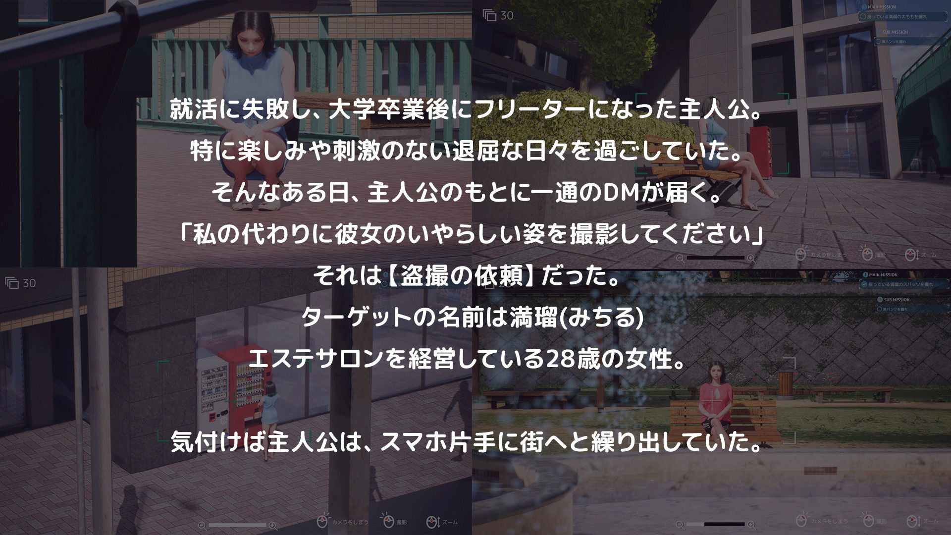 サンプル画像1:盗撮代行 -Taking pictures secretly-(紅姫) [d_549600]