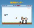 野良猫サンダー