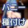 バニーカジノ！勝負に勝ったら私をお持ち返って種付けしてもいーぺこよ？