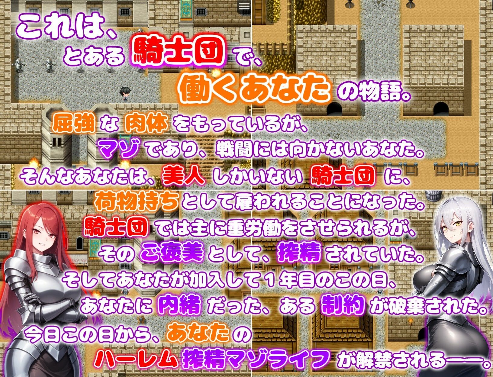 サンプル画像1:痴女騎士団の荷物持ち  ハーレム×イチャラブ×搾精(あい工房) [d_601286]