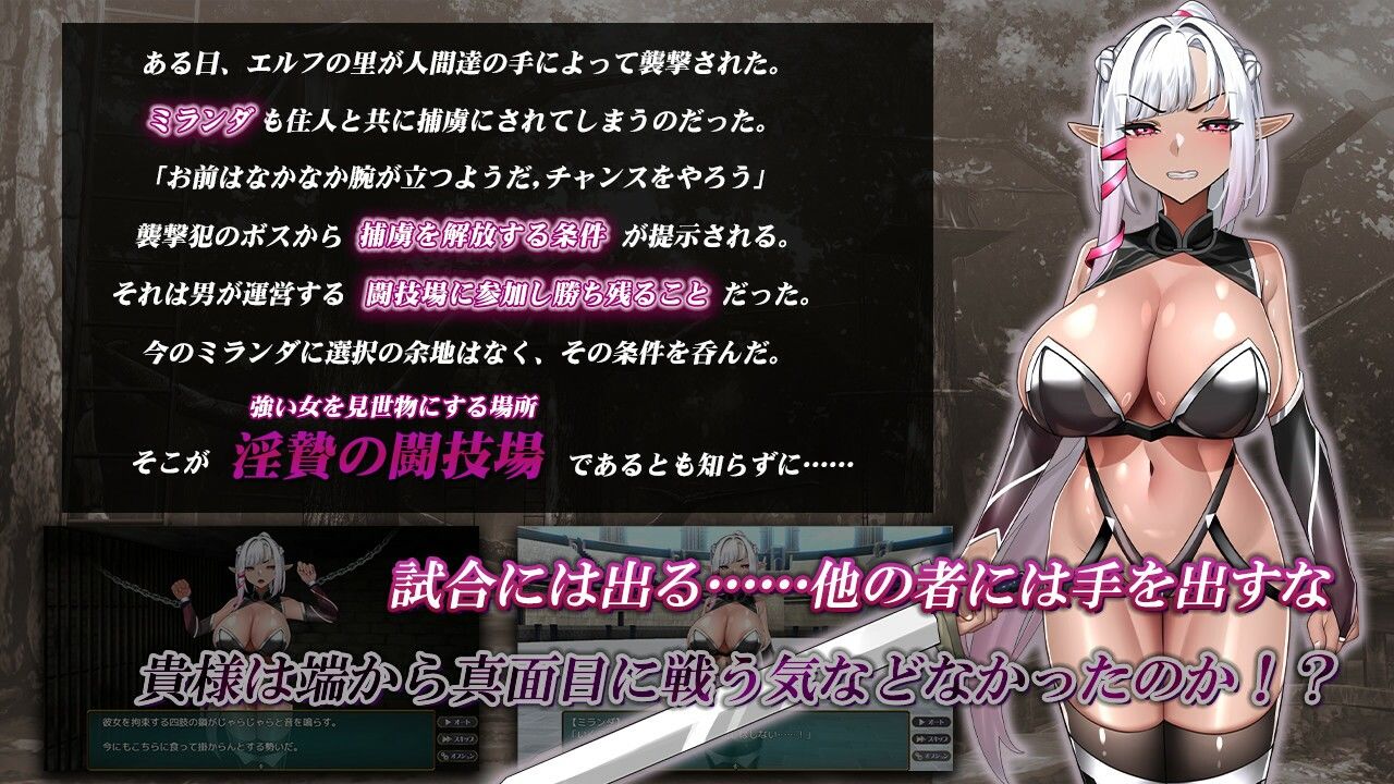 淫贄(いけにえ)の闘技場 -ダークエルフの剣士ミランダ- 画像2
