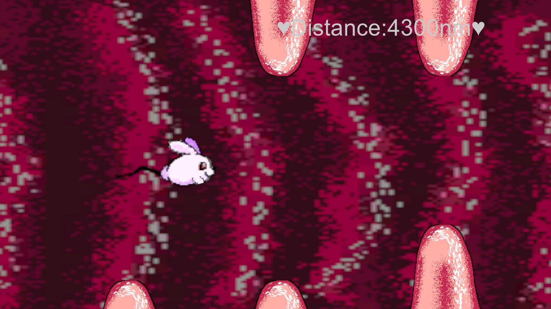 泳げウサギ 画像1