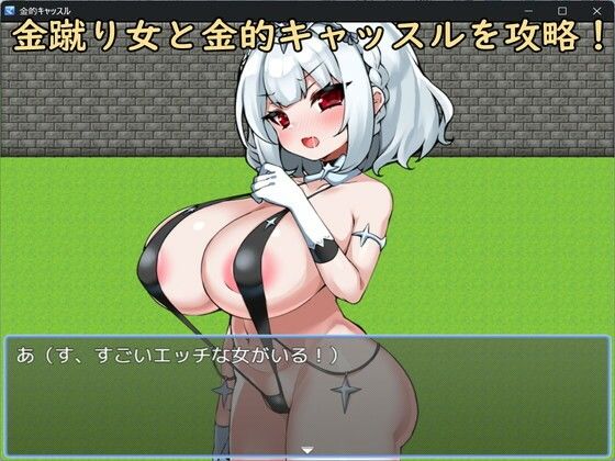 サンプル画像1:金的キャッスル(イン堂) [d_656798]