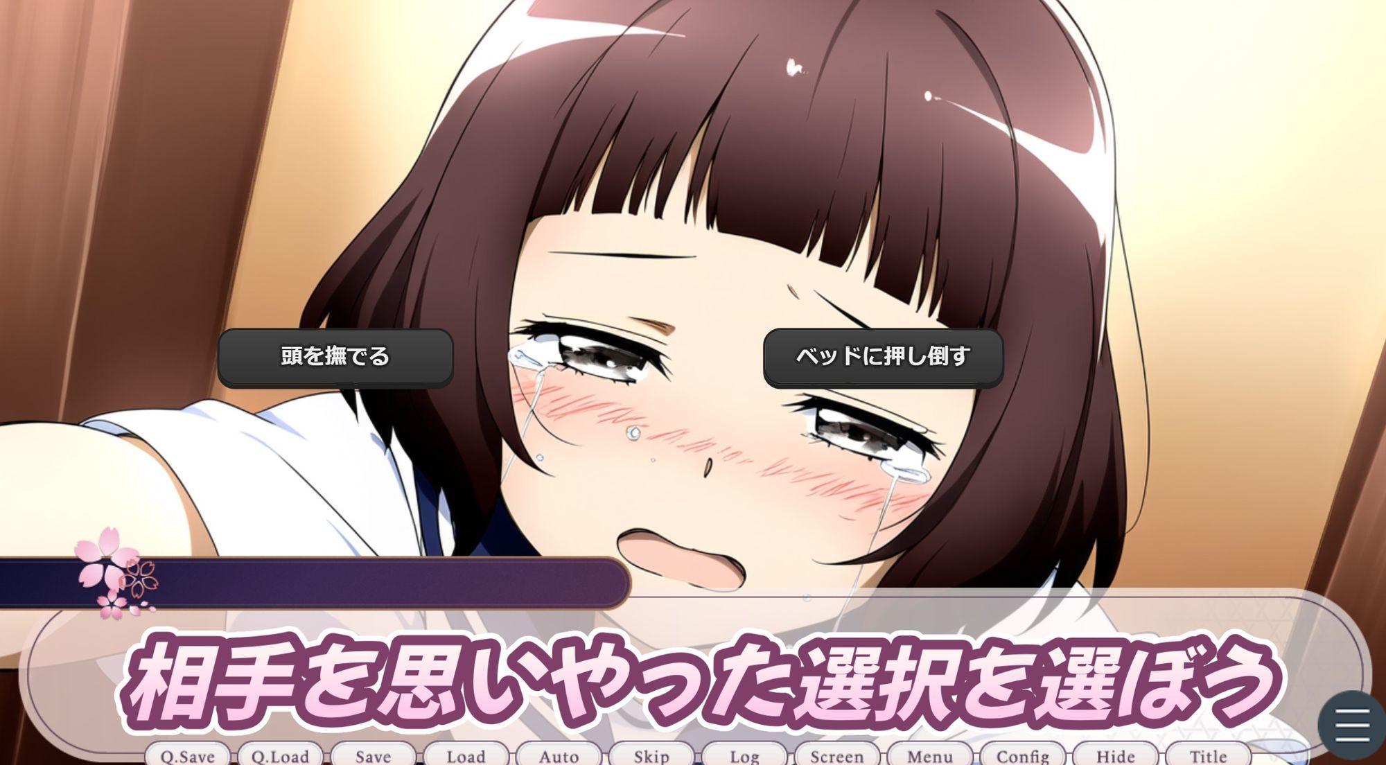 （apk同梱）女の子に触れるときにはもっと優しくね おにぎり本舗 エロ画像6