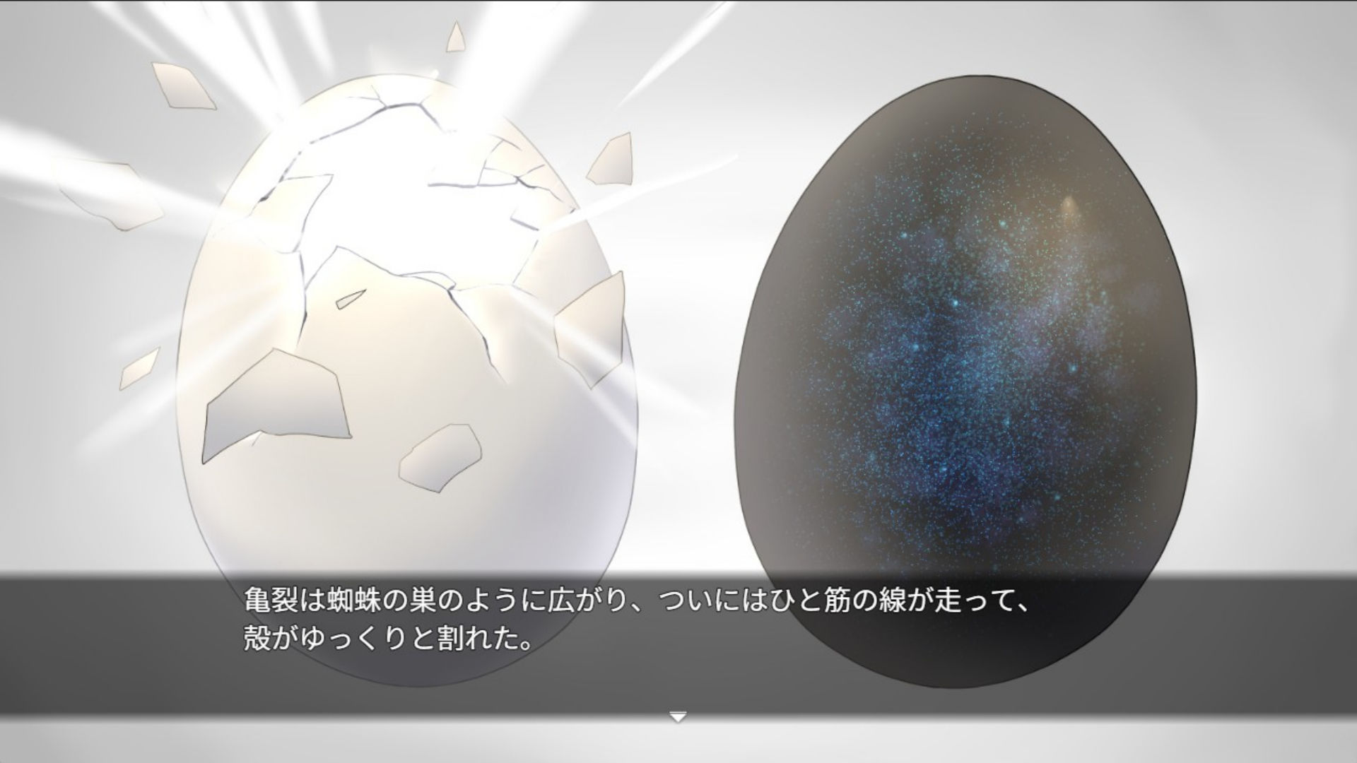 サンプル画像 8