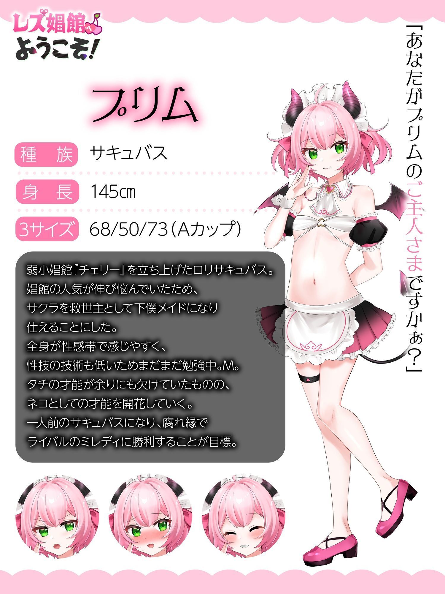 サンプル画像3:レズ娼館へようこそ！(青華団) [d_672687]