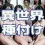 異世界転生したら、勝ち組ハーレムになって種馬王子生活になった件について。