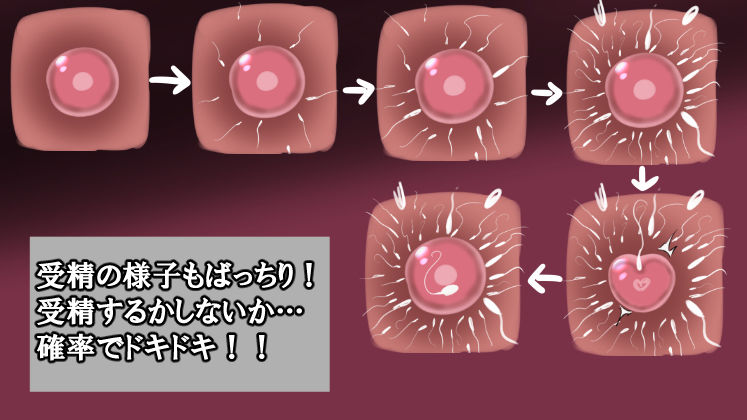 浮気彼女達を論破してごめんなさいセックス！！ 画像5