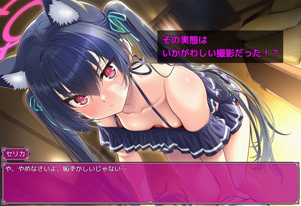 Lewd Archive 『Case セリカ』