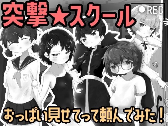 突撃スクール！  〜おっぱい見せてもらってみた！〜のタイトル画像