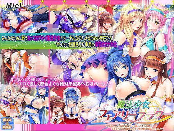 【新春福袋】強い牝をおチ〇ポ屈服!くっころチン媚び孕ませ福袋! 画像2