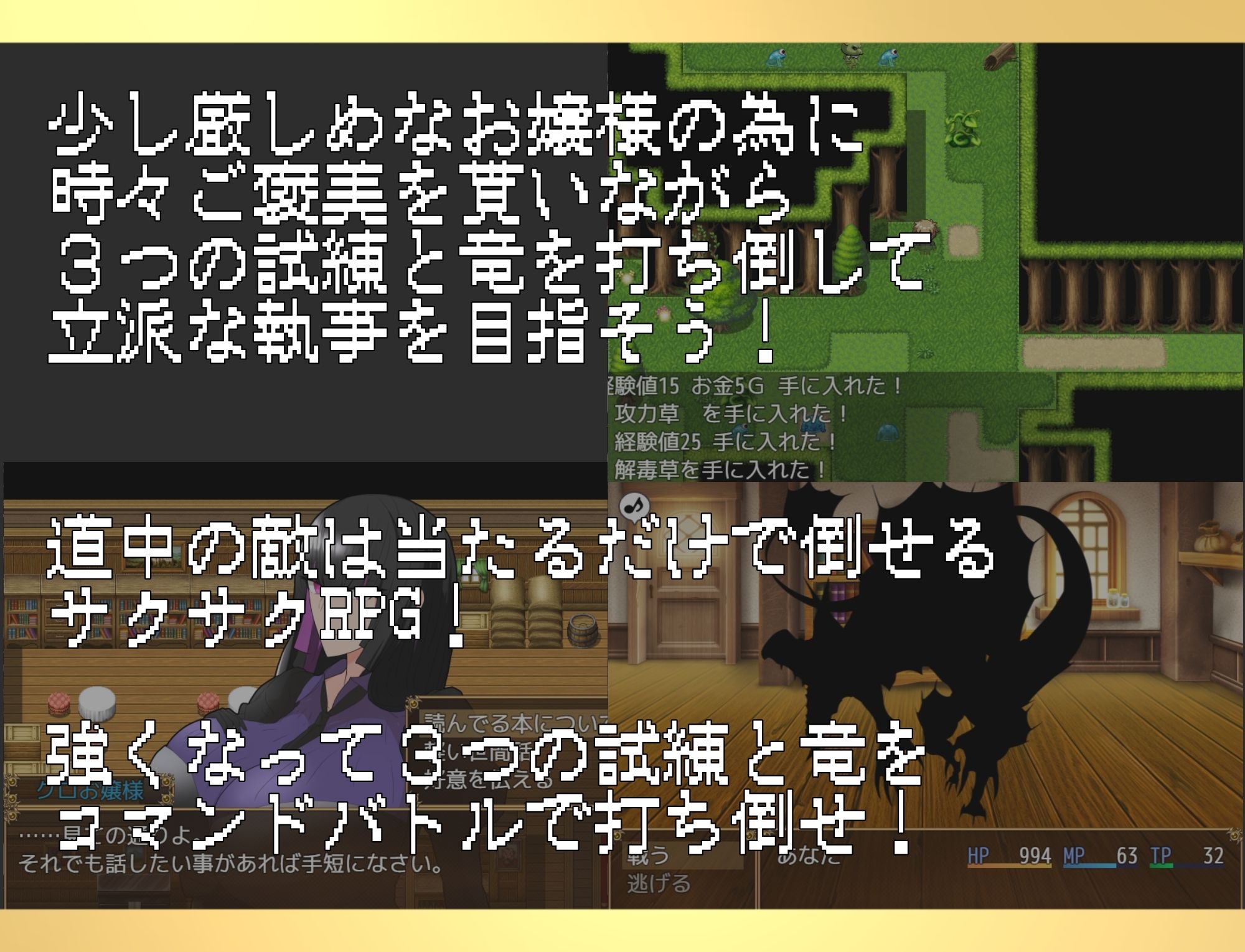 サンプル画像1:黒のお嬢様と見習い執事(ちょっとHなお嬢様) [d_718947]