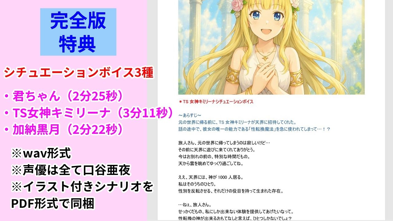 きみりんコレクション完全版〜ゲーム＋キャラ図鑑＋シチュボ＋全イラスト〜 | Baked Strontium