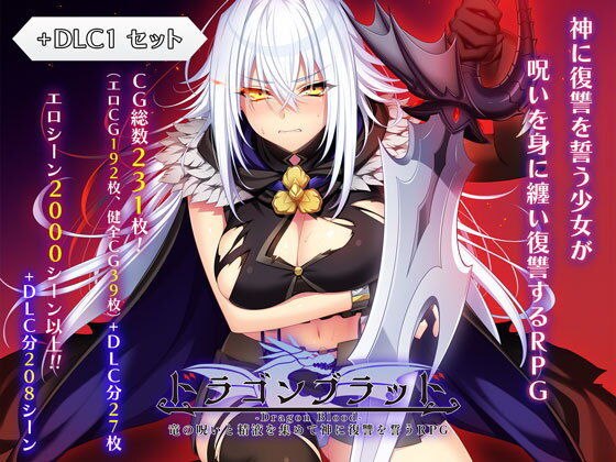 ドラゴンブラッド＋追加DLC1セット 画像1