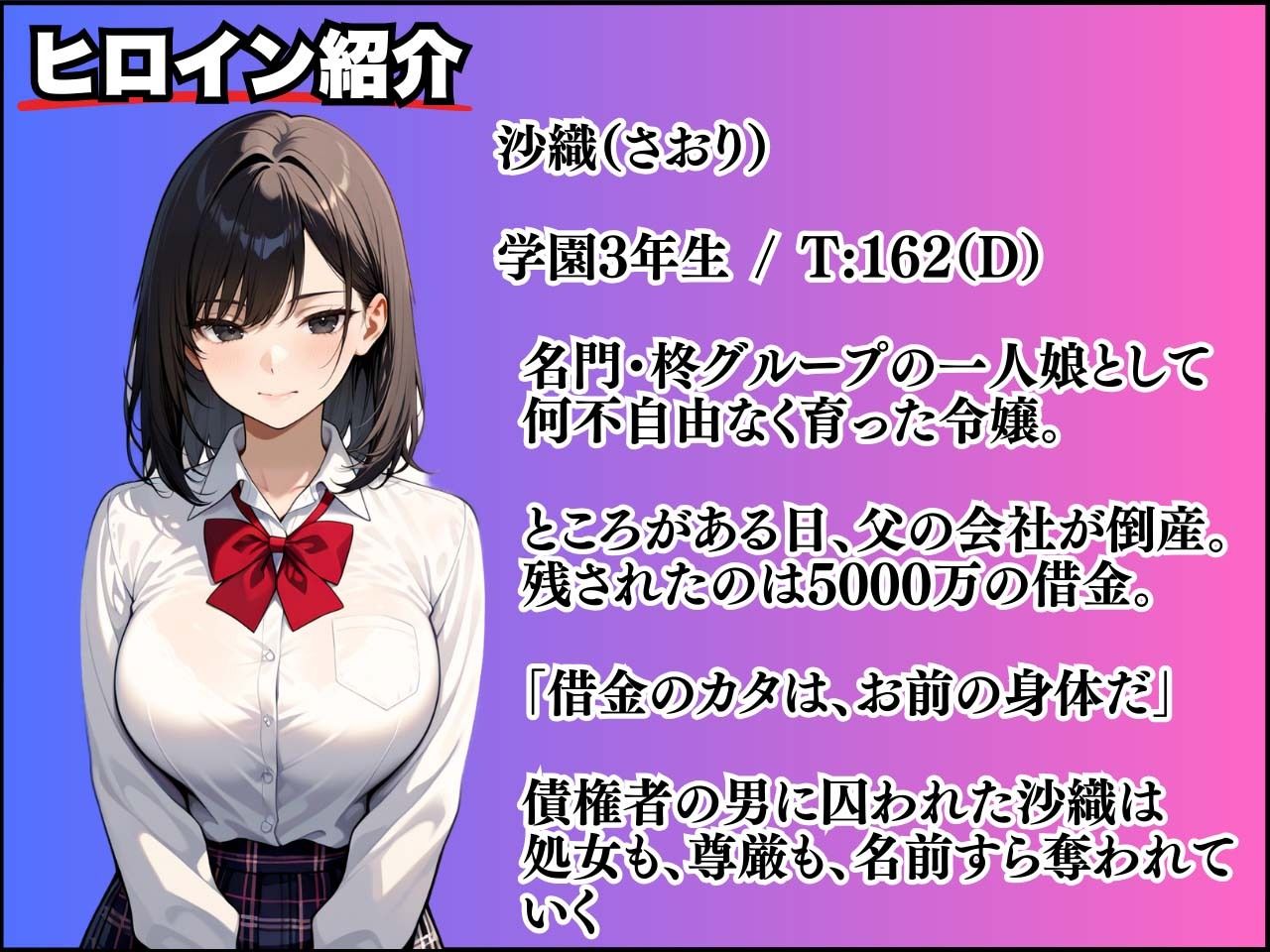 没落令嬢の代償 〜処女、借金のカタにいただきます〜 画像2