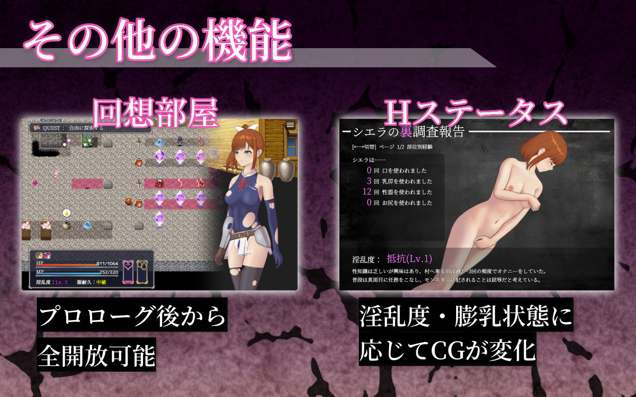 シエラの淫らな異変調査 -女剣士はソロでイク- 画像6