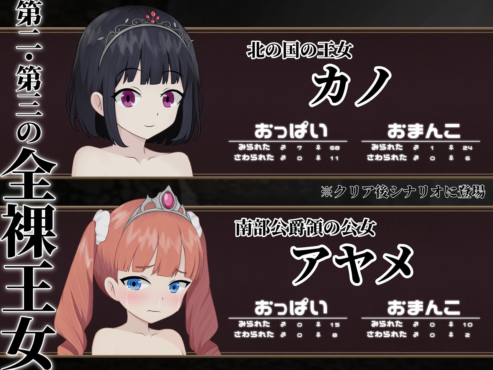 サンプル画像5:マケヒメゼンラ 〜敗戦国の姫君は中央広場で全裸にされる〜(ぽけっとイズム) [d_735251]