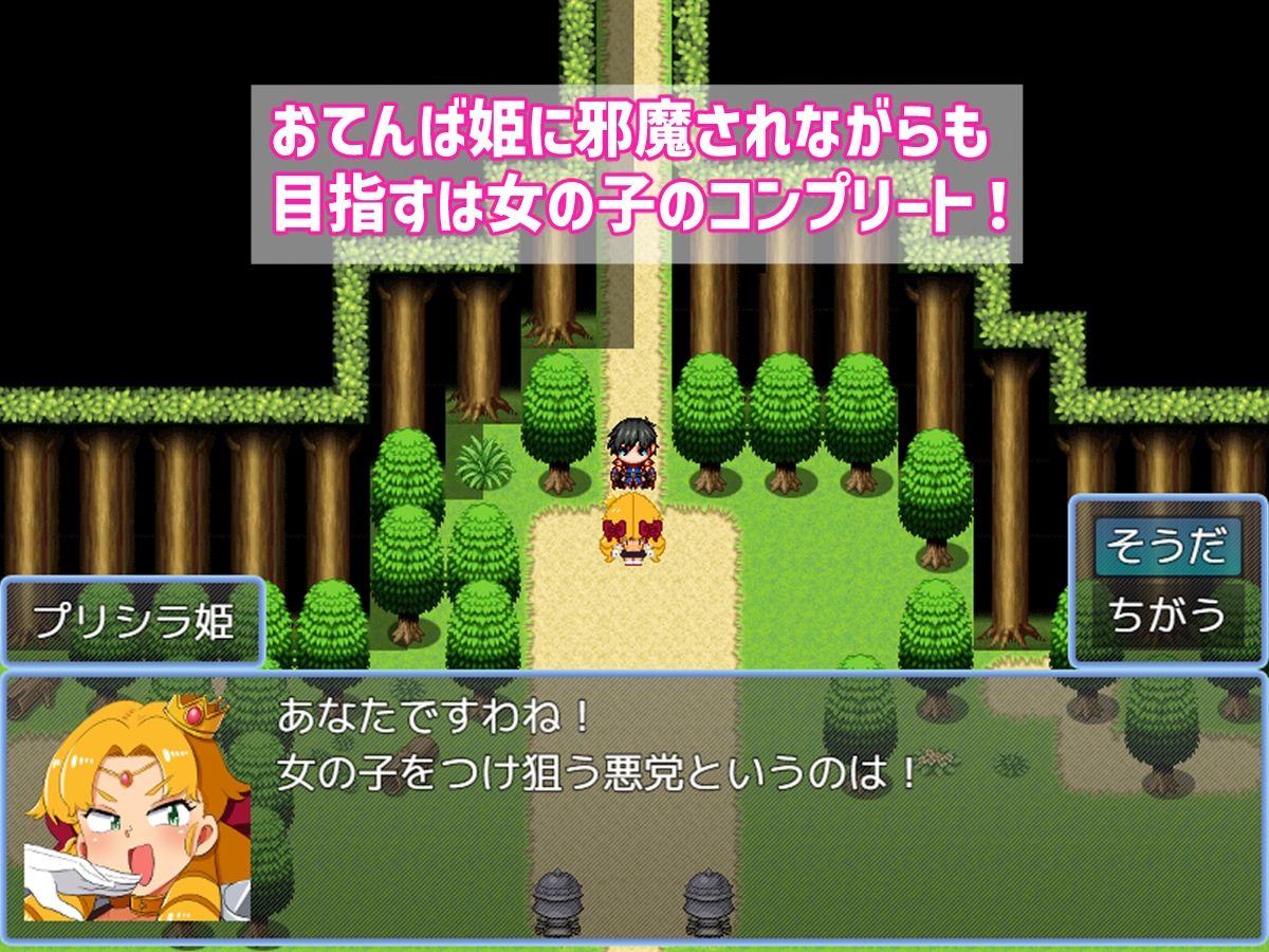 バトルに勝ったら即エッチ〜バトルファックRPG〜 画像4
