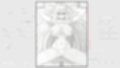 エルフの女騎士さんにおさわりさせていただきたい