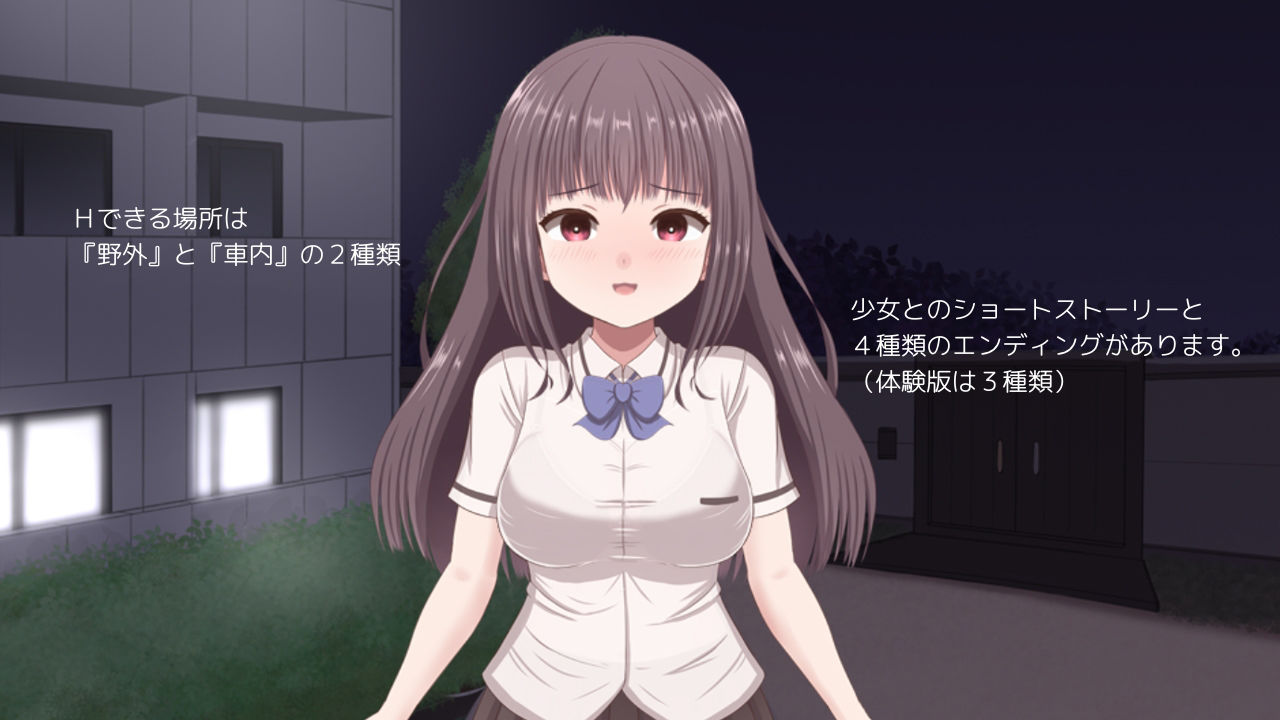 無理やりHシミュレーション〜家出少女を凌●〜 画像6